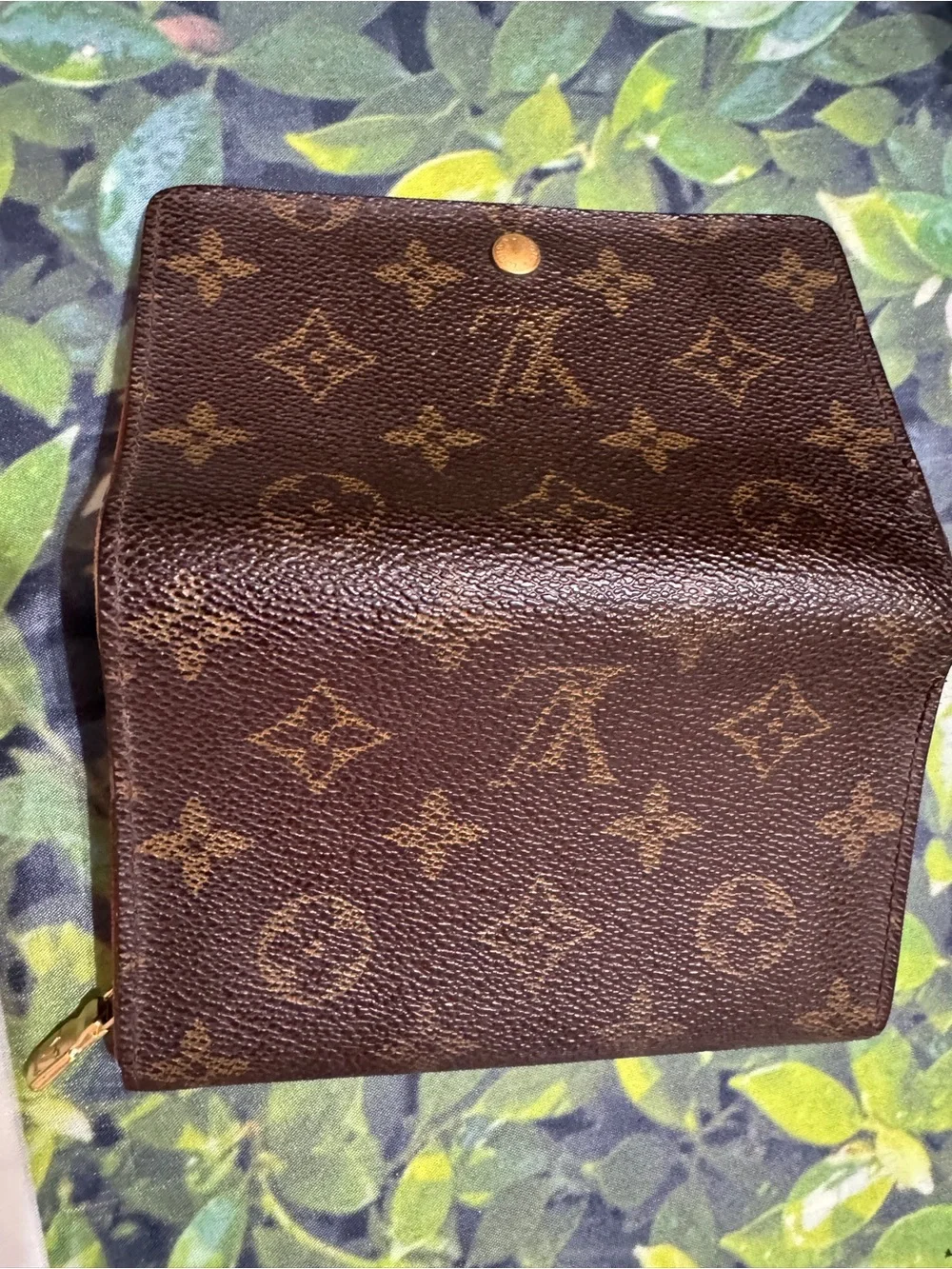 Louis Vuitton louis vuitton